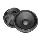 PT-18P300 Parlante 18" 1000W 8 ohm "POTTENZA PREMIUM"