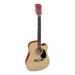 VZ-XFP4111CNF Guitarra acústica natural 41" c/funda "VOZZEX"
