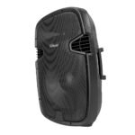 PZ-2115P Caja acústica pasiva 15" 150W RMS "POTTENZA" - Imagen 2