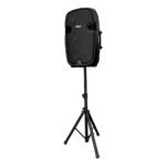 PZ-2115P Caja acústica pasiva 15" 150W RMS "POTTENZA" - Imagen 3