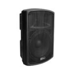 FP215 CAJA ACUSTICA PASIVA 15" 300RMS 600W «SOUNDKING»