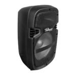PZ-8RB Caja acústica activa 8" 200W PEAK con USB, BLUETOOTH, RADIO, con batería recargable. Micrófono.inalámbrico y alámbrico con led RGB "POTTENZA" - Imagen 3