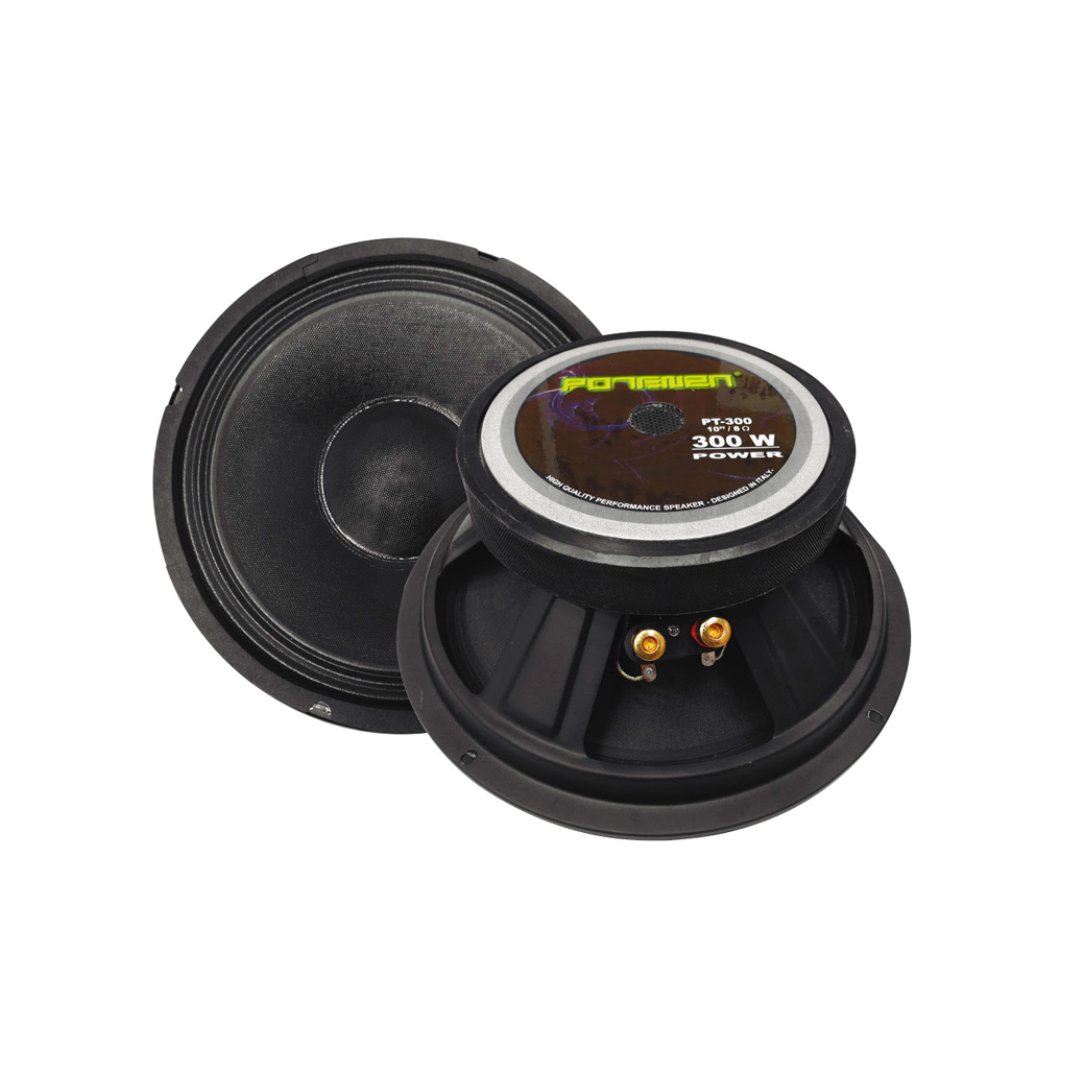 1 PT-300 PARLANTE RIGIDO 10" 300W 8 OHM "POTTENZA" - Imagen 1