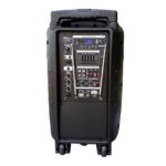 PZ-I10WA2 CAJA ACUSTICA 2VIA 10" C/BAT REC 60W 2MIC. "POTTENZA" - Imagen 2
