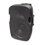 PZ-2915P CAJA PASIVA 15" 100W RMS "POTTENZA"