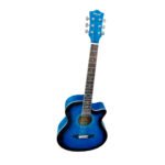 VZ-W01C/BLS GUITARRA ACUSTICA 40" "VOZZEX"
