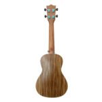 VZ-UKZ-24 UKELELE ATIGRADO 24" CONCIERTO "VOZZEX" - Imagen 2