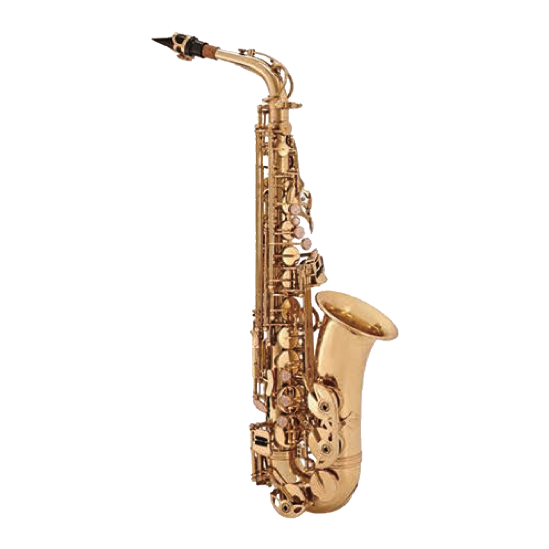 VGS-SALT-GD-WEB.png VGS-SALT-GD SAXO ALTO GOLD LACQUER "VILLEGAS" - Imagen 1