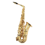 VGS-SALT-GL SAXO ALTO GOLD LACQUER "VILLEGAS"