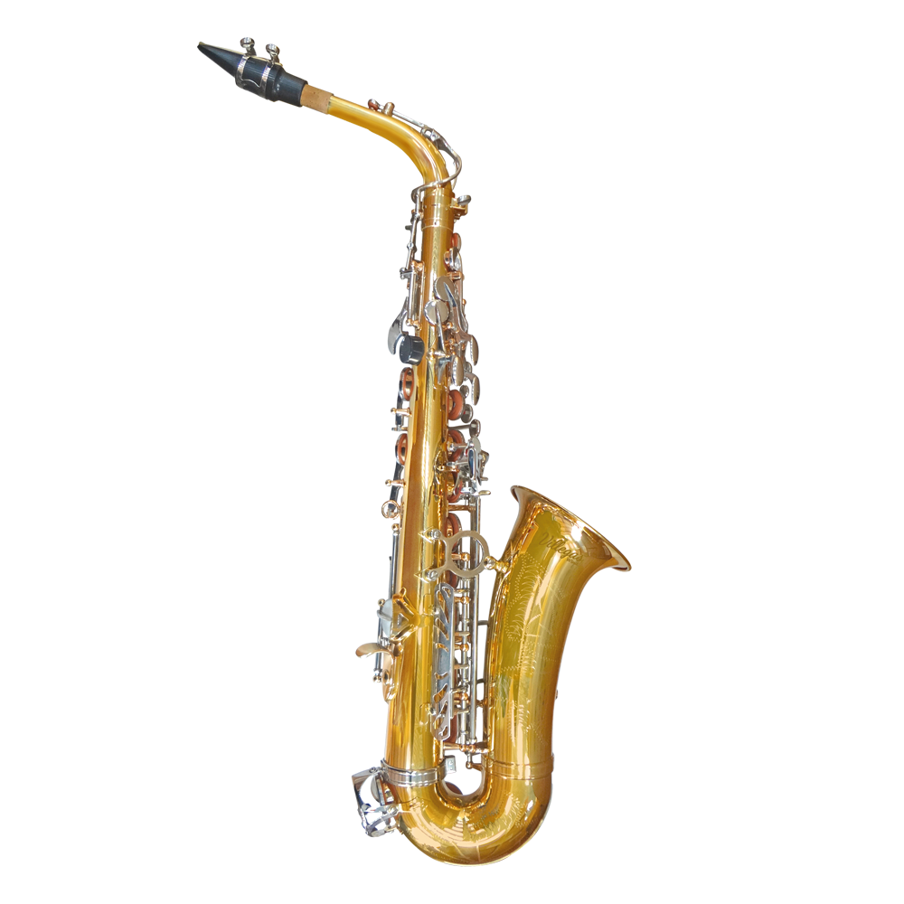 SAXO-WEB.png VGS-FT6430LN Saxo alto (claves plateadas) "VILLEGAS" - Imagen 1