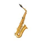 VGS-FT6430LG Saxo alto (claves doradas) "VILLEGAS"