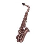 VGSFT6430FG1 Saxo alto bronce "VILLEGAS"